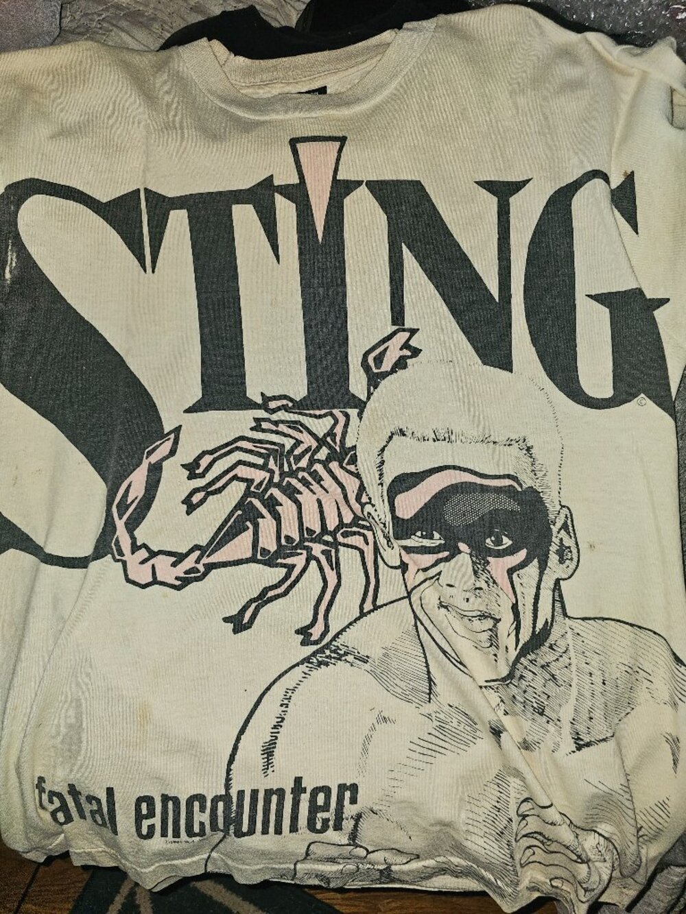 WCW sting og
